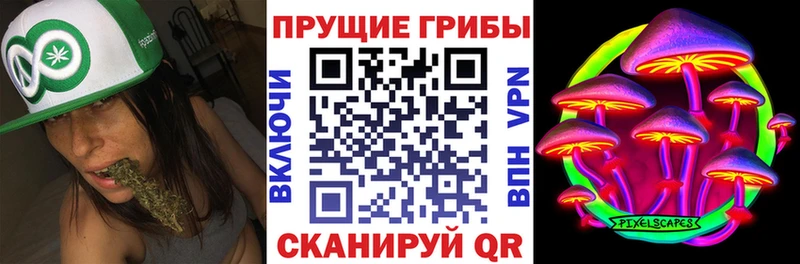 что такое наркотик  Кораблино  Псилоцибиновые грибы ЛСД 